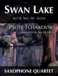 Swan Lake P.O.D cover